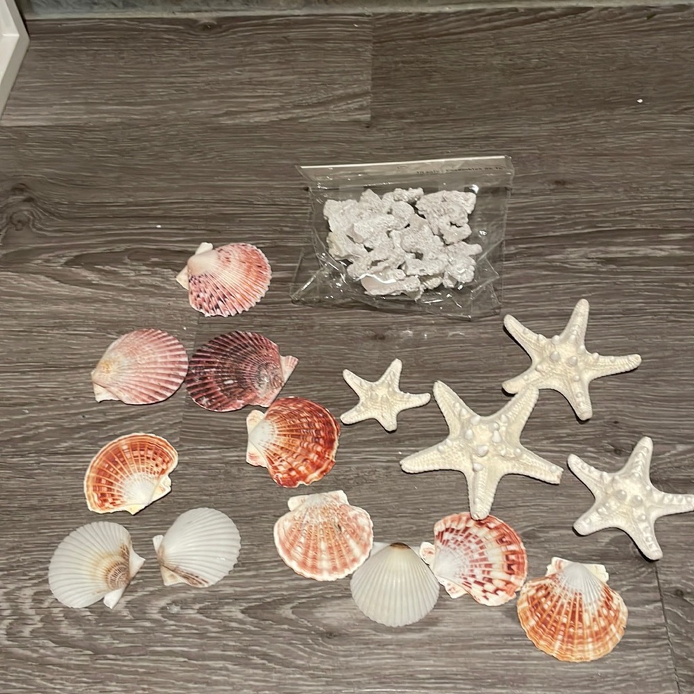 Lot of decorative/craft seashells